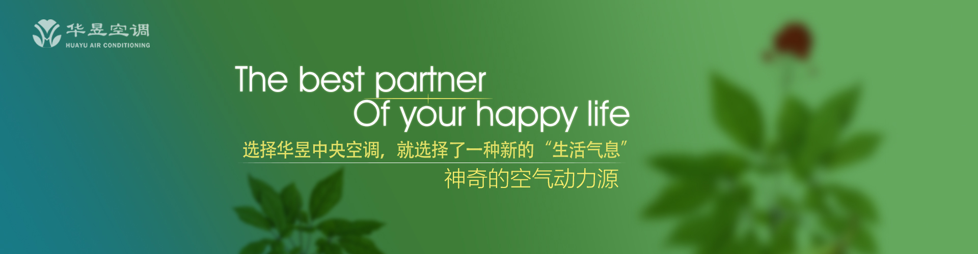 贵不期骄网
